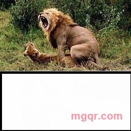 caomeiren的第2张照片