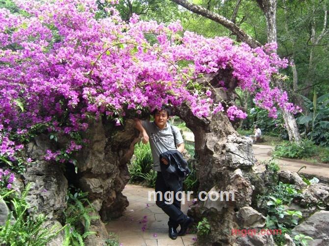 龙行天下~的第3张照片