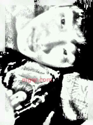 看风景、的心情的第7张照片