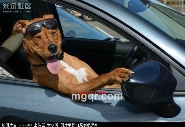 释然、的第1张照片