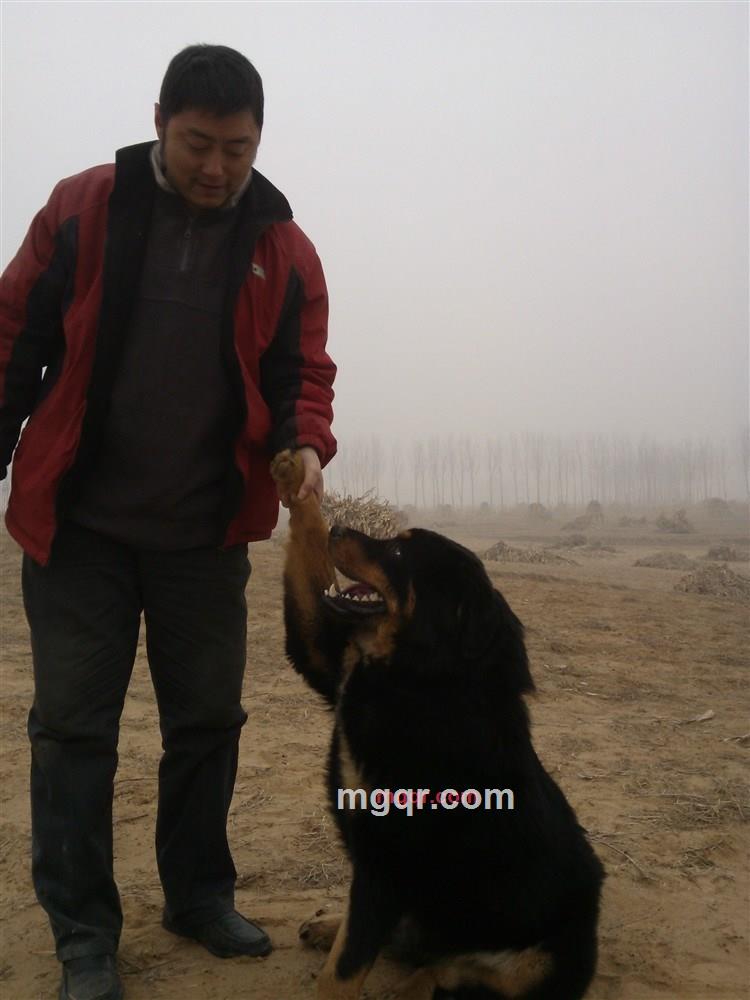 漫天飘的第5张照片