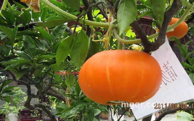 有你够了的第22张照片