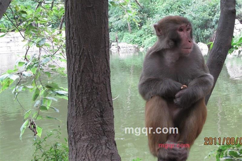 有你够了的第21张照片