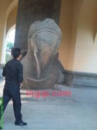 伊人多情爱你的第1张照片