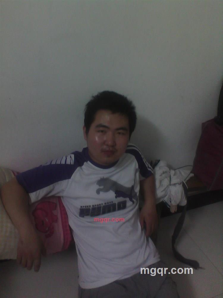 神圣之忍的第1张照片