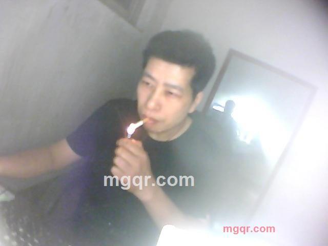 风中的 红 玫瑰的第1张照片