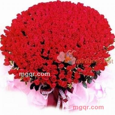 志哥哥的第2张照片