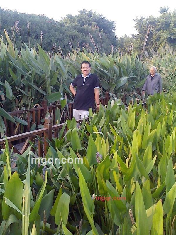 花花公子超哥的第1张照片