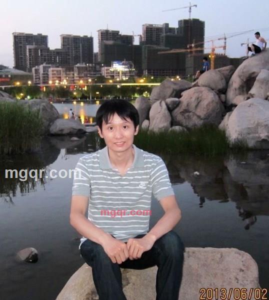 不长叶子的树的第1张照片