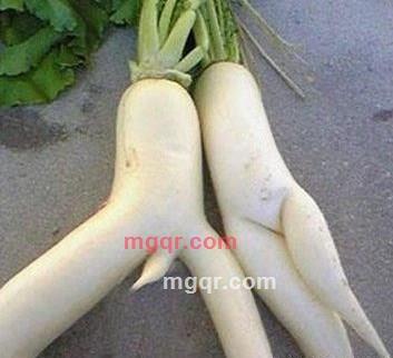 tanjix的第1张照片