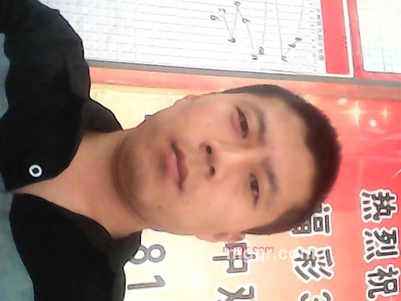 终极刺客81的第1张照片