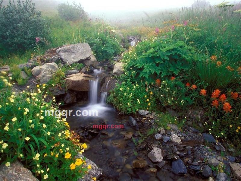 相识是缘的续集的第2张照片