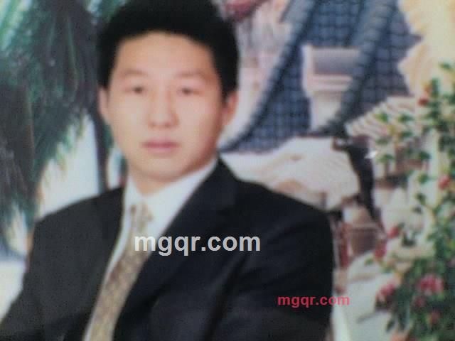 南极的蝴蝶的第1张照片