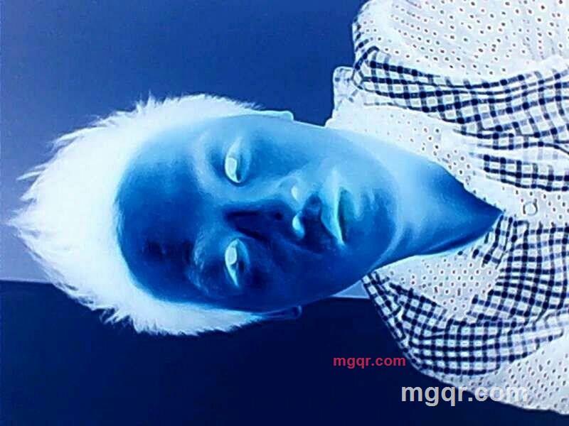 11w xhn的第5张照片