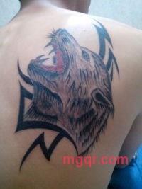 KUC一??的第1张照片