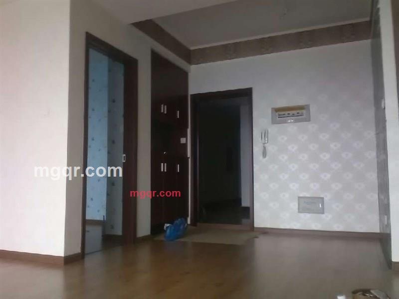 想12的第1张照片