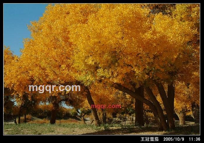 我心中的一扇窗的第5张照片