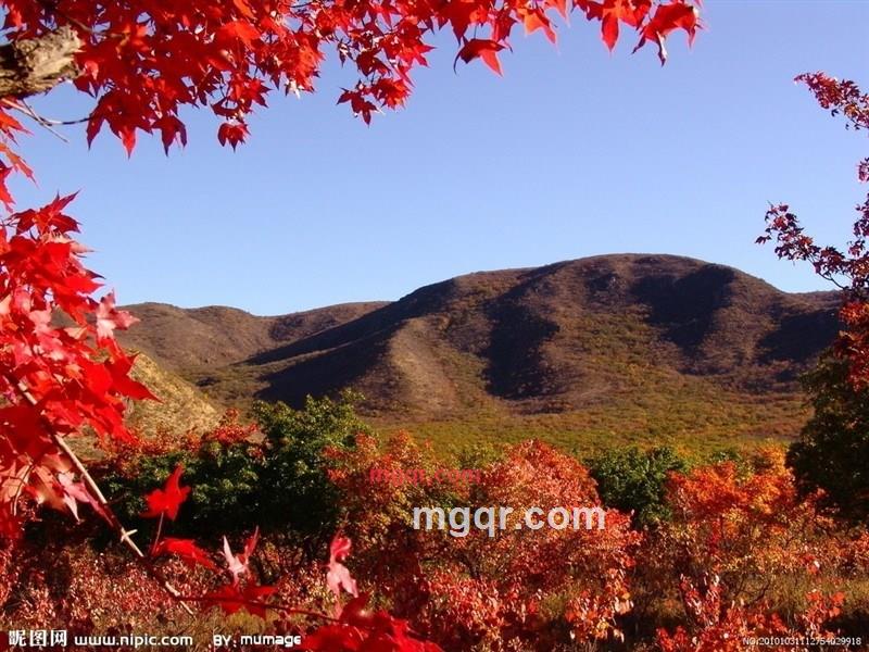 我心中的一扇窗的第4张照片