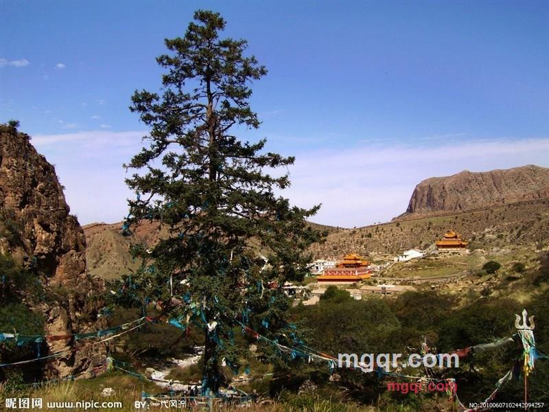 我心中的一扇窗的第3张照片