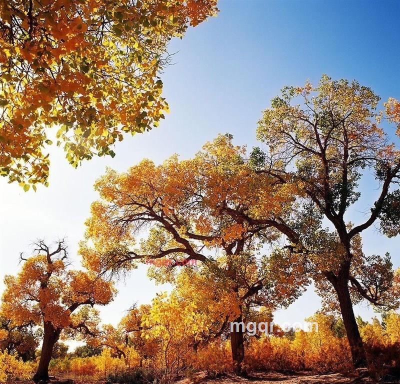 我心中的一扇窗的第1张照片