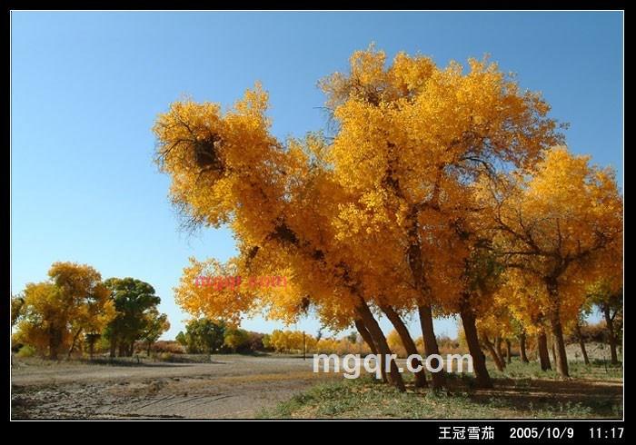 我心中的一扇窗的第2张照片