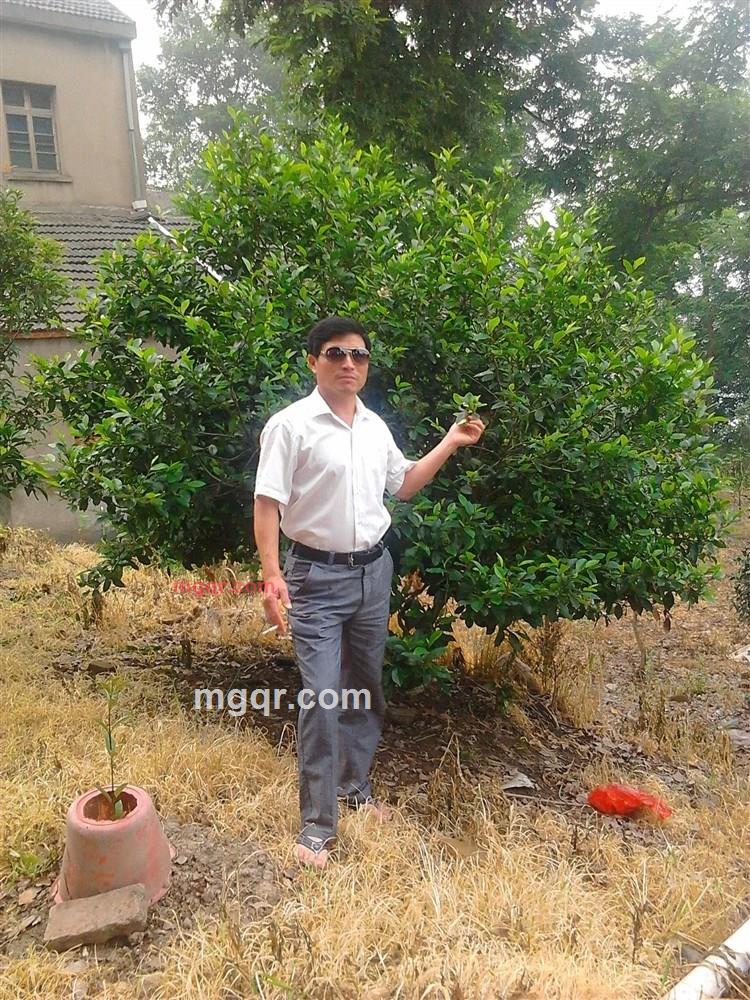 程云鹤的第5张照片