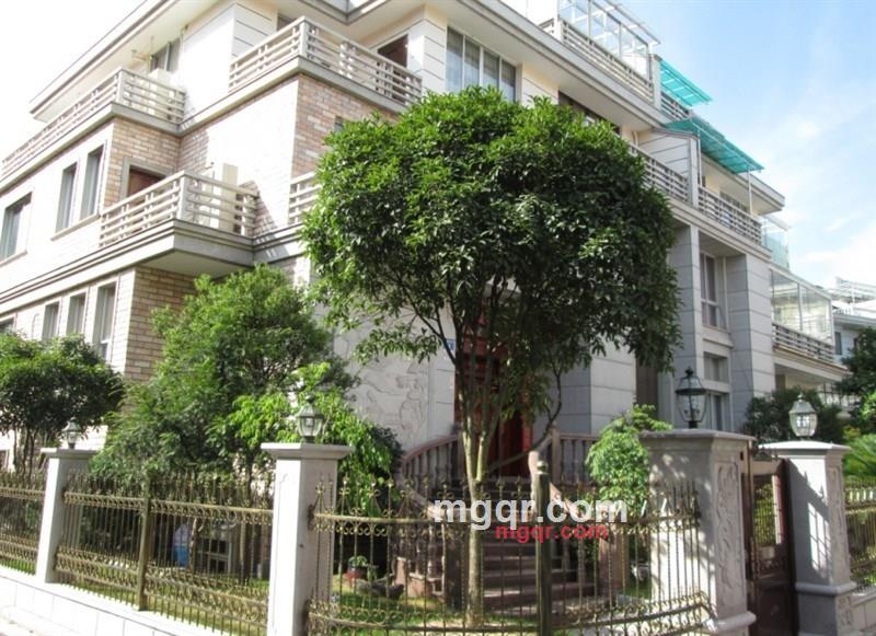 部落酋长的第1张照片