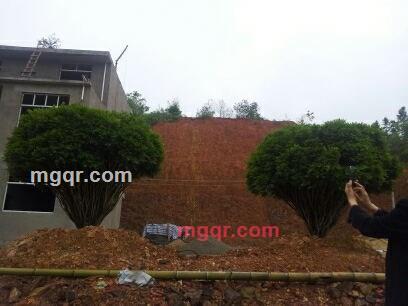 程云鹤的第1张照片