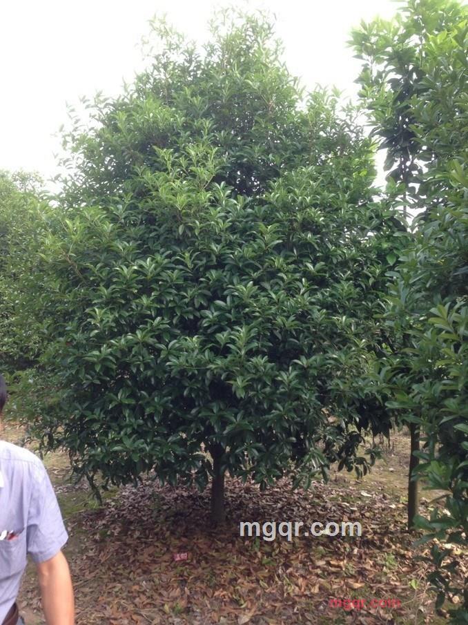 程云鹤的第2张照片