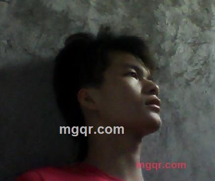 寂寞小鸟8的第1张照片