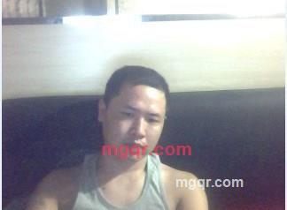 夜幕中的精灵的第1张照片