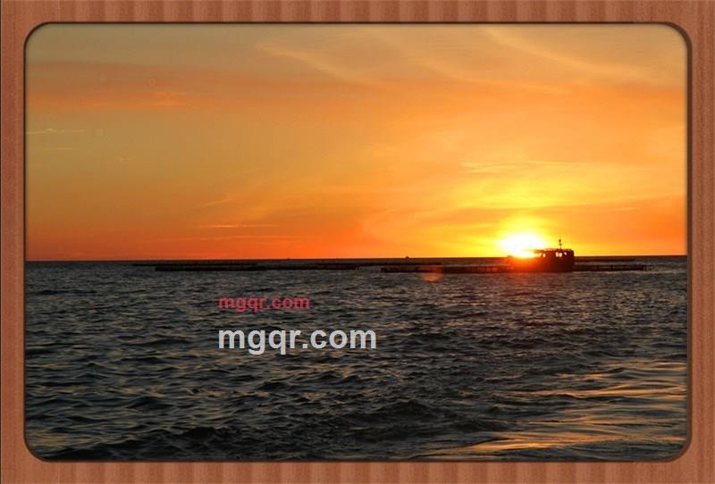 zyjjx的第9张照片