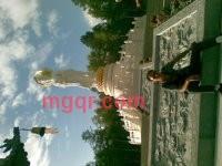 天狼林的第2张照片