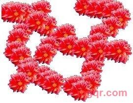 ai在两腿间的第2张照片