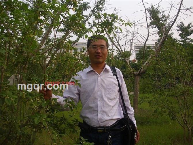 一天情的第5张照片