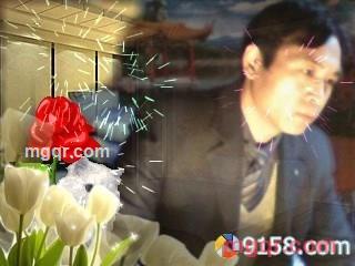 玫瑰为情感的第1张照片