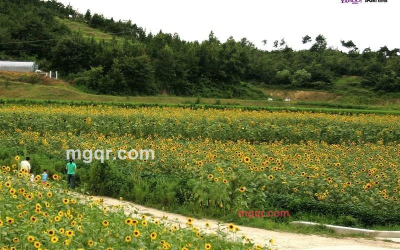 阿升哥的第1张照片