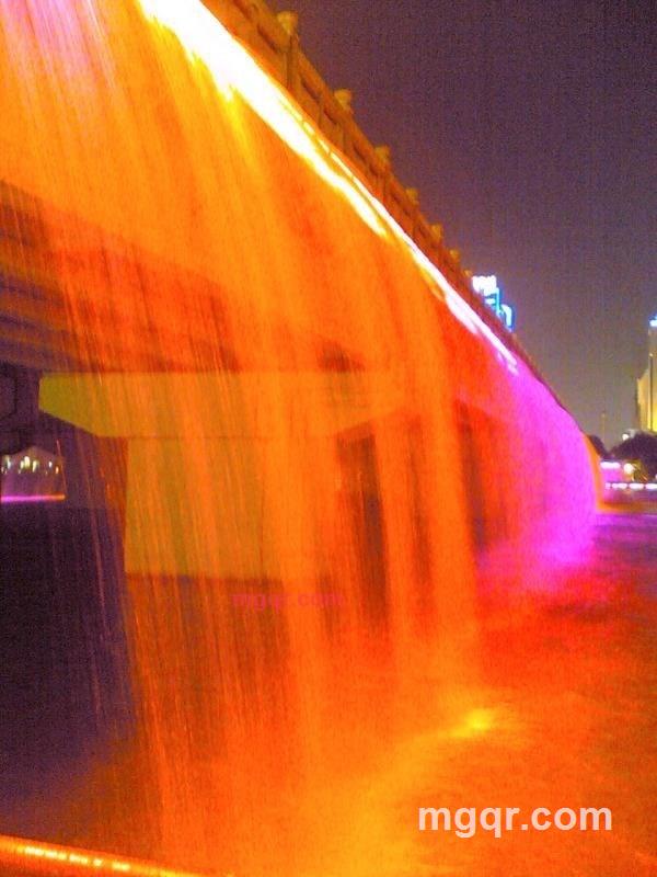 **《9》次狼的第6张照片