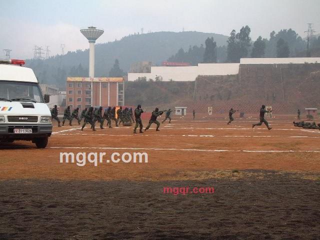 **《9》次狼的第3张照片