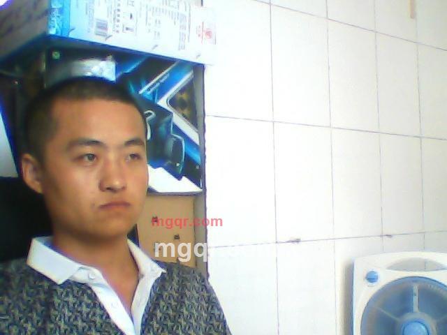 随遇而定的第2张照片