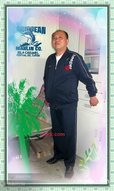 雪山劲松的第1张照片