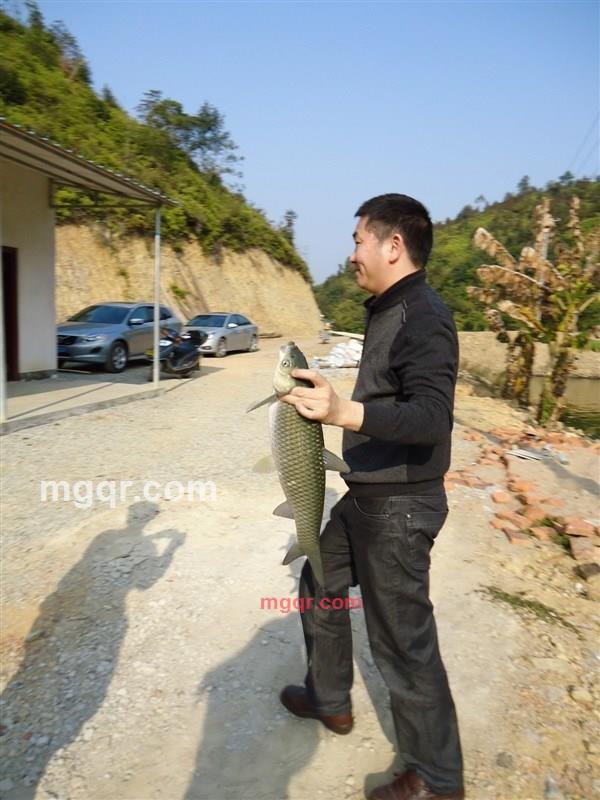 yangguang888的第1张照片