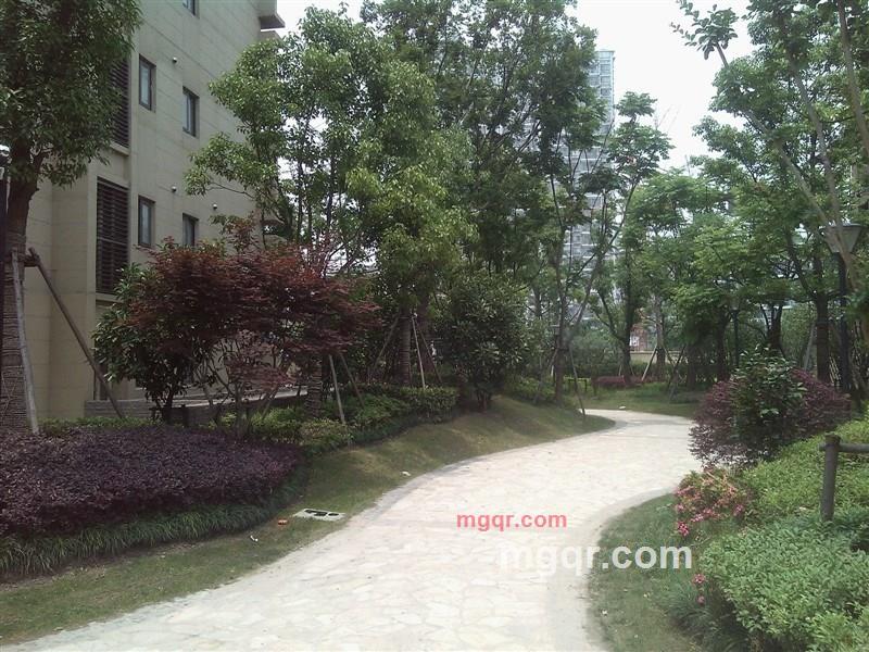 feife的第2张照片