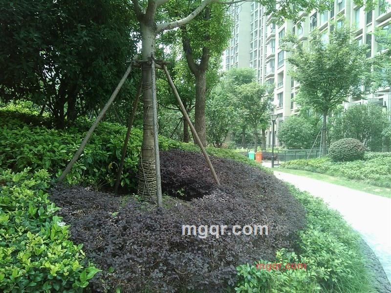 feife的第1张照片