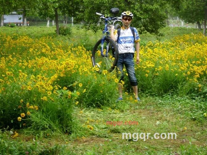 守候在你身边的第5张照片