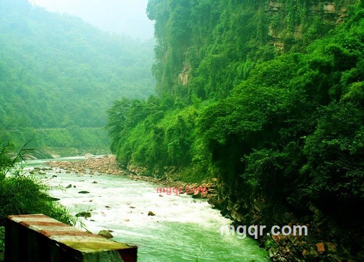 卫攫的第4张照片