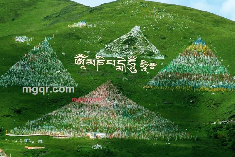 卫攫的第2张照片