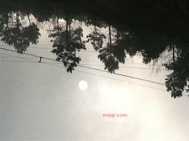 小朱5950的第1张照片