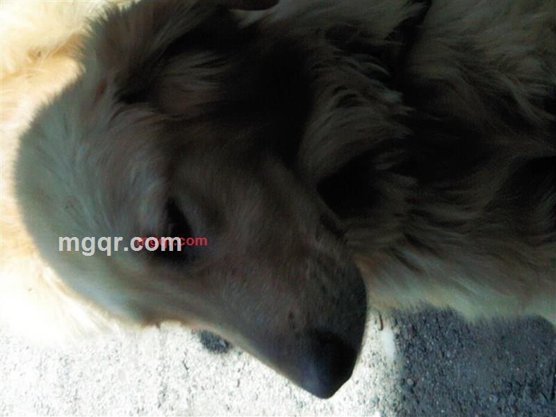 严少杰的第3张照片