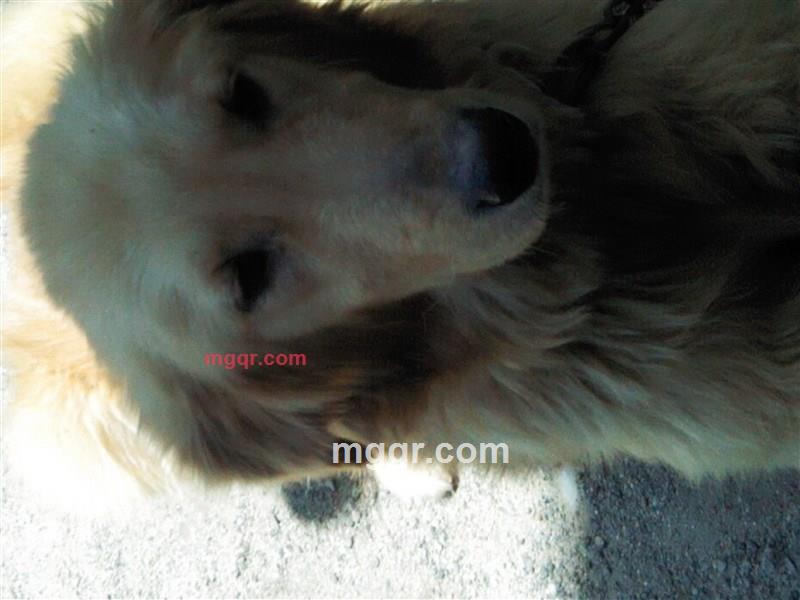 严少杰的第2张照片